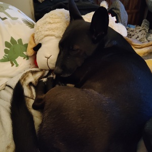 Fundraising Page: Rosamond Wilson